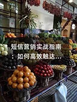 短信营销实战指南:如何高效触达用户并提升转化