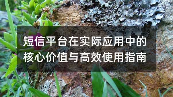 ����ƽ̨��ʵ��Ӧ���еĺ��ļ�ֵ���Чʹ��ָ��