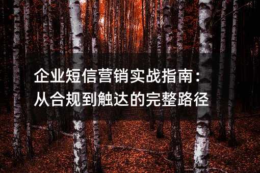 企业短信营销实战指南:从合规到触达的完整路径