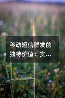 �ƶ�����Ⱥ���Ķ��ؼ�ֵ��ʵʱ�����á���׼��Ӫ������