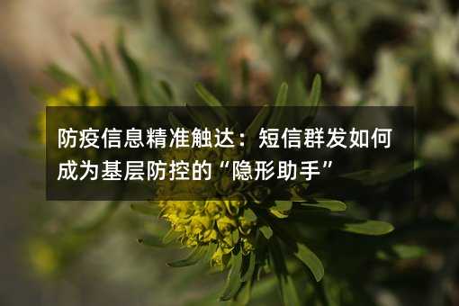 防疫信息精准触达:短信群发如何成为基层防控的“隐形助手”