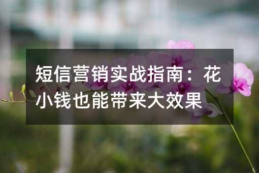 短信营销实战指南:花小钱也能带来大效果