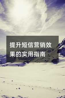 提升短信营销效果的实用指南