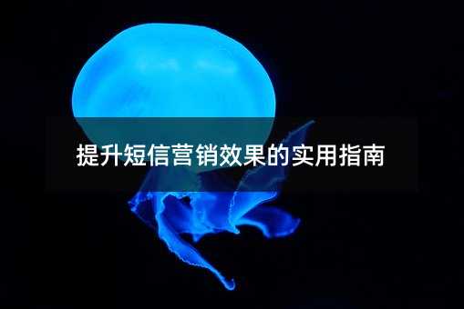 提升短信营销效果的实用指南