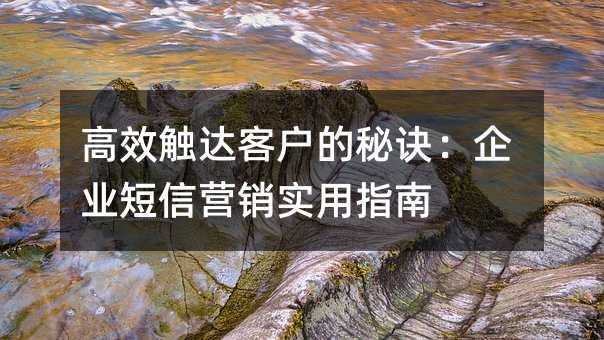 高效触达客户的秘诀:企业短信营销实用指南