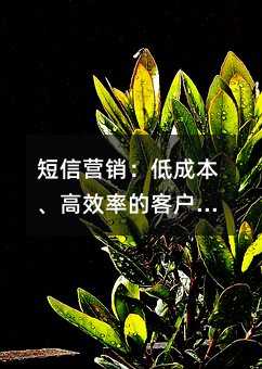 短信营销:低成本、高效率的客户沟通指南