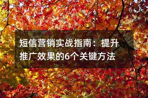 ����Ӫ��ʵսָ�ϣ������ƹ�Ч����6���ؼ�����