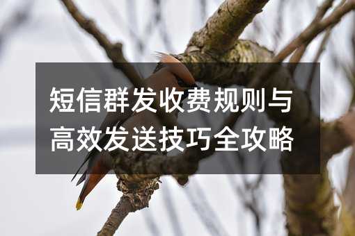 短信群发收费规则与高效发送技巧全攻略