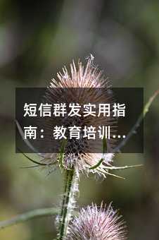 短信群发实用指南:教育培训机构高效触达用户的六个关键策略
