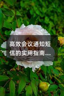 高效会议通知短信的实用指南:从模板设计到优化技巧