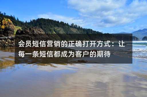 会员短信营销的正确打开方式:让每一条短信都成为客户的期待