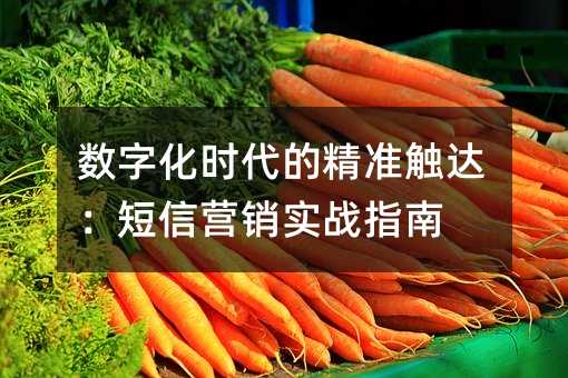 数字化时代的精准触达:短信营销实战指南