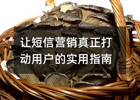 让短信营销真正打动用户的实用指南
