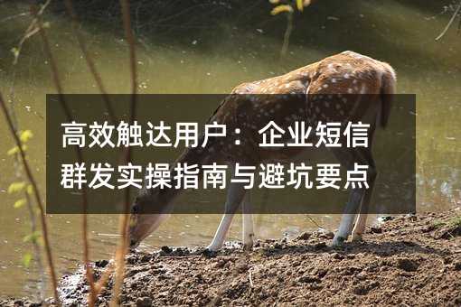 高效触达用户:企业短信群发实操指南与避坑要点