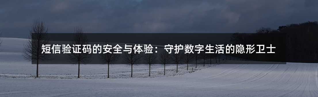 短信验证码的安全与体验:守护数字生活的隐形卫士
