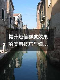 提升短信群发效果的实用技巧与细节指南