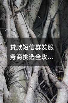 贷款短信群发服务商挑选全攻略:从稳定性到售后服务的实用指南