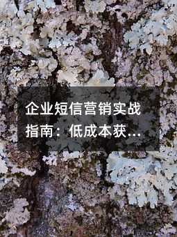 企业短信营销实战指南:低成本获客的高效策略