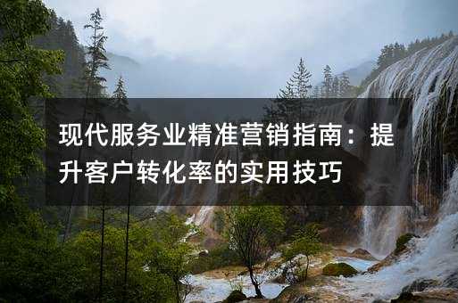 �ִ�����ҵ��׼Ӫ��ָ�ϣ������ͻ�ת���ʵ�ʵ�ü���