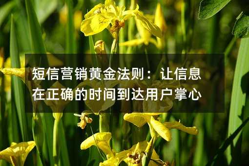 短信营销黄金法则:让信息在正确的时间到达用户掌心