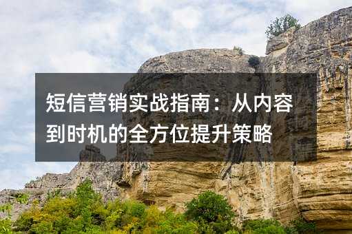 短信营销实战指南:从内容到时机的全方位提升策略