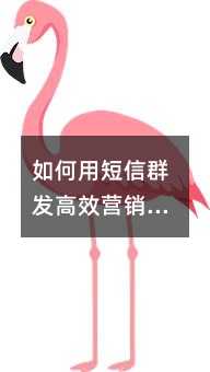 如何用短信群发高效营销?关键技巧与避坑指南