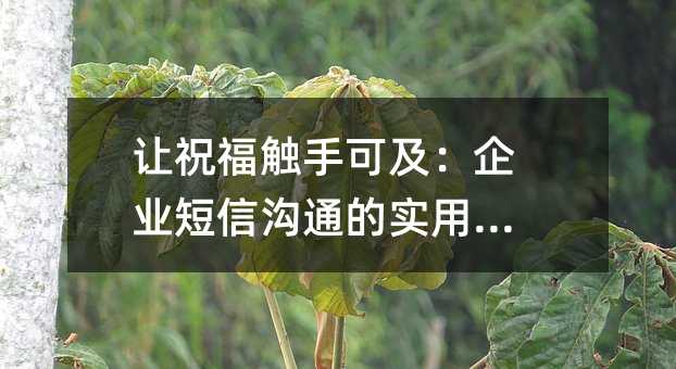 让祝福触手可及:企业短信沟通的实用指南