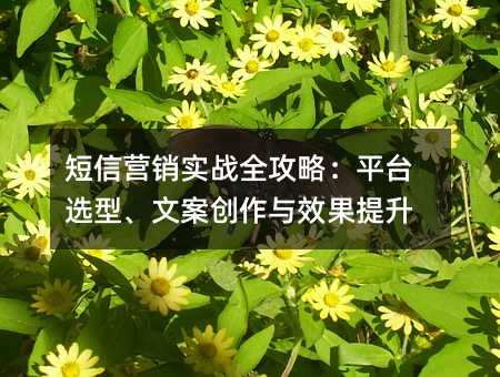 短信营销实战全攻略:平台选型、文案创作与效果提升