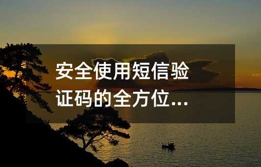 安全使用短信验证码的全方位指南
