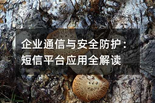 企业通信与安全防护:短信平台应用全解读