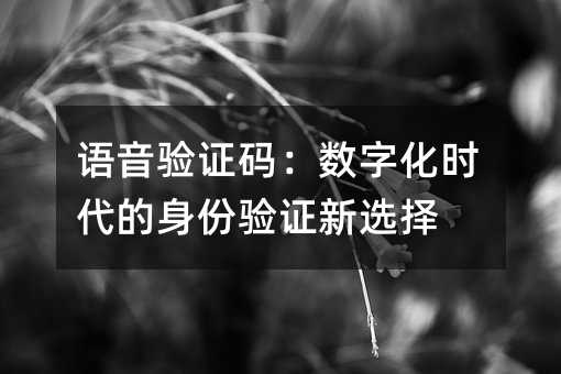 ������֤�룺���ֻ�ʱ����������֤��ѡ��