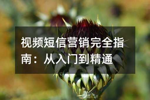 视频短信营销完全指南:从入门到精通