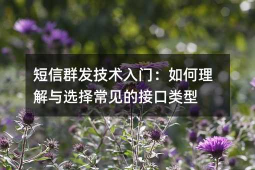 ����Ⱥ���������ţ����������ѡ�񳣼��Ľӿ�����