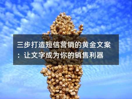 三步打造短信营销的黄金文案:让文字成为你的销售利器