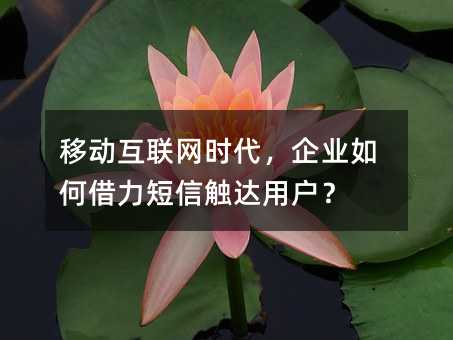 �ƶ�������ʱ������ҵ��ν������Ŵ����û���
