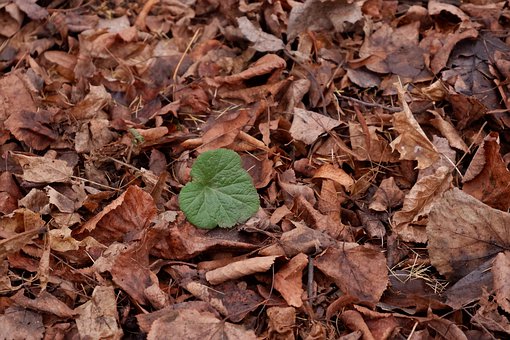 ��ѧ��ѧ����������������թƭ����������װ����