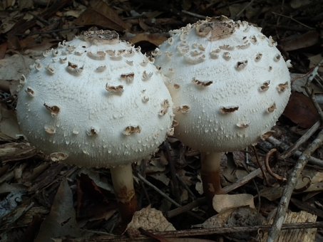 ����Ӫ��ʵսָ�ϣ���ÿһ����Ϣ����Ч����