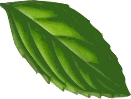 ΢ͻ10»Ӫ