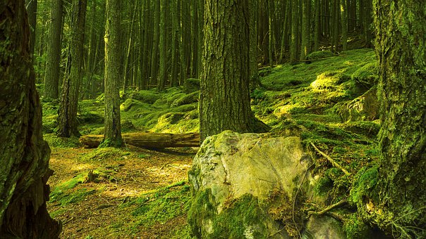 Ⱥͻϵάƪ_νͿͻʧʣ