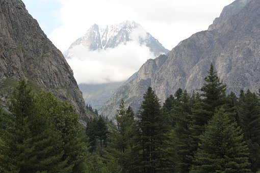 ������������ֻ����רҵ�Ķ���Ӫ���߻�ʦ