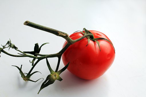 ¹˰ֿƽ̨˰˻ӭ