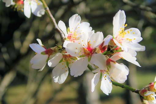 �г�Ӫ���������ƽ̨