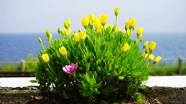 ����Ⱥ���б���