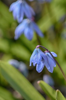 常德市彩信群发平台可以发图片吗?