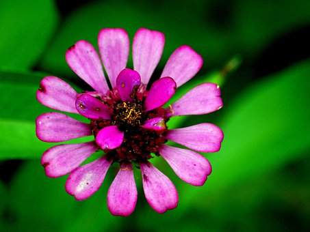 挑选稳定的短信群发平台,请知悉!