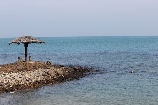 高新带动高产 短信平台成效喜人