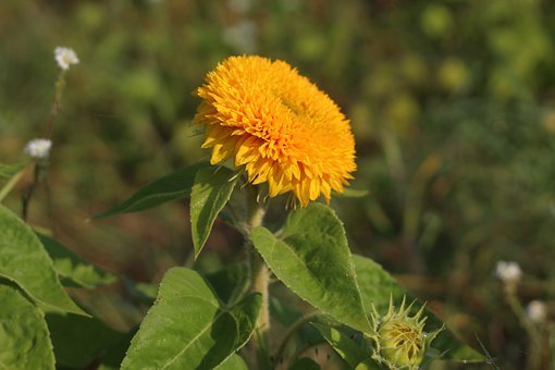 客户大量短信群发,避免沦为”垃圾短信”!