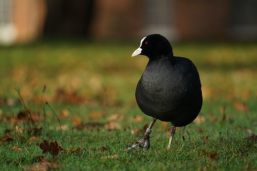 影响短信群发平台好坏的几个关键指标