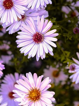 ����Ⱥ��ƽ̨����Ǯһ�����Ա��˼��Ҳ�֪��ˮ�����