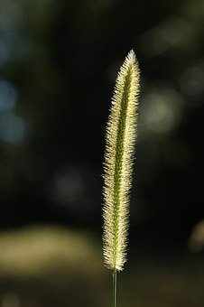 零售行业短信群发,开启商超运营”新模式”!